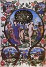 L'albero della morte e della vita 1481